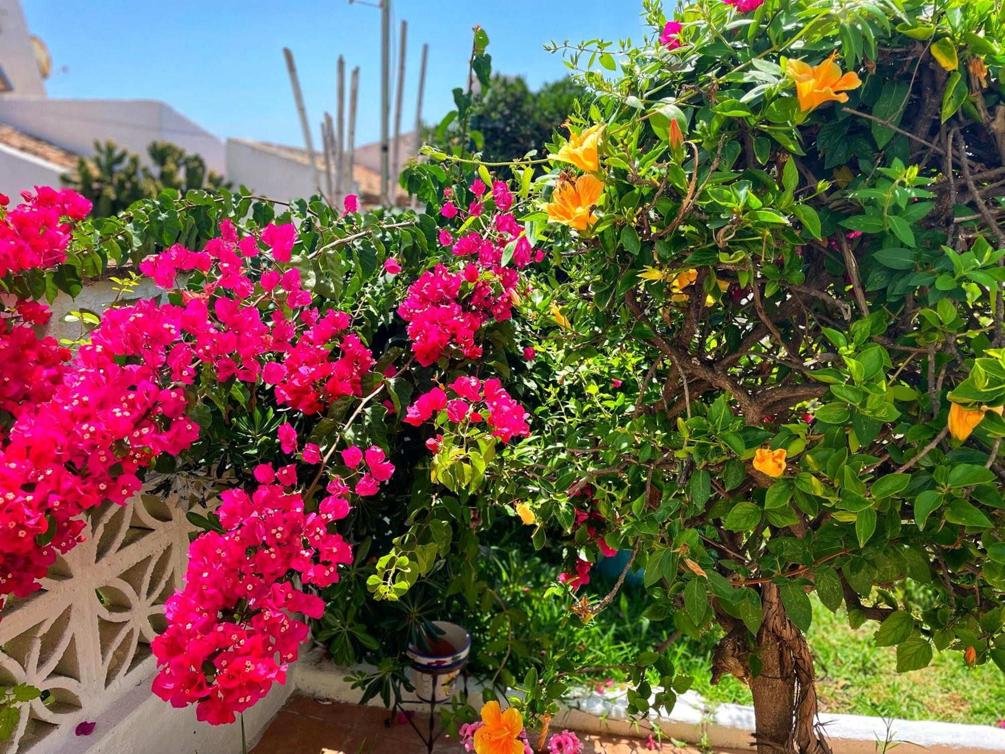 Appartamento Casa Jardin Del Mar Estepona Esterno foto
